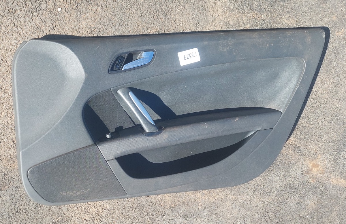 TT RIGHT FRONT DOOR PANEL