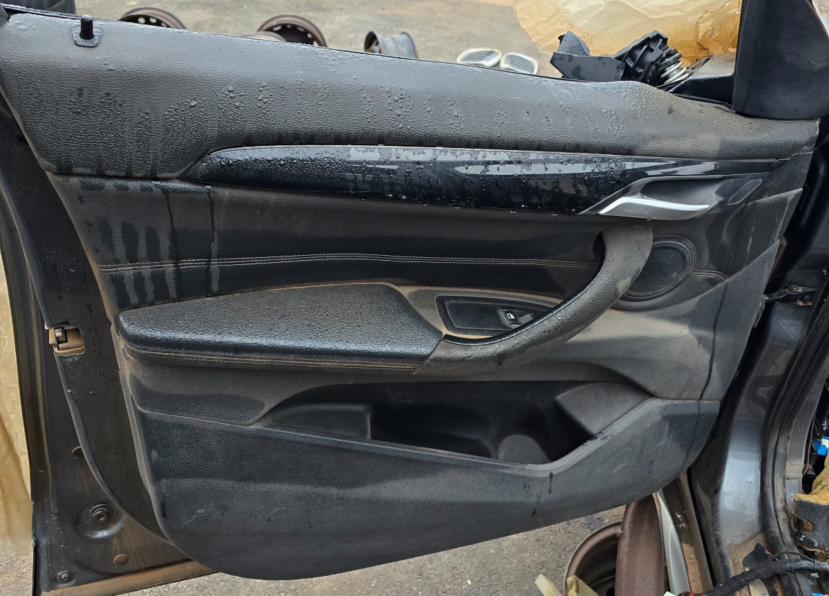 F48 X1 LEFT FRONT DOOR PANEL