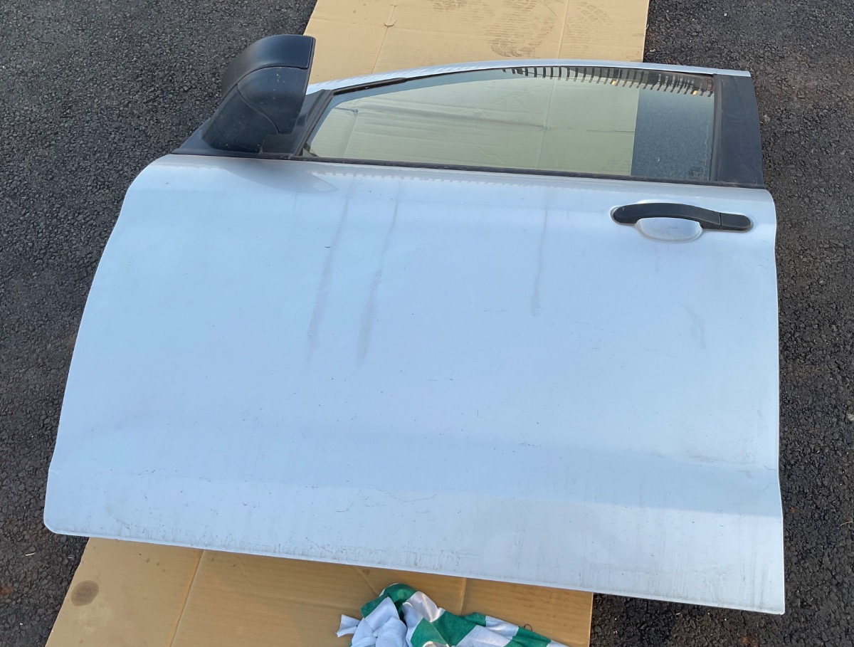 FIGO LEFT FRONT DOOR SHELL