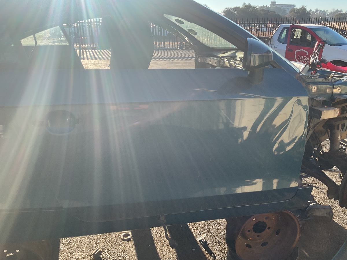 TT RIGHT DOOR SHELL