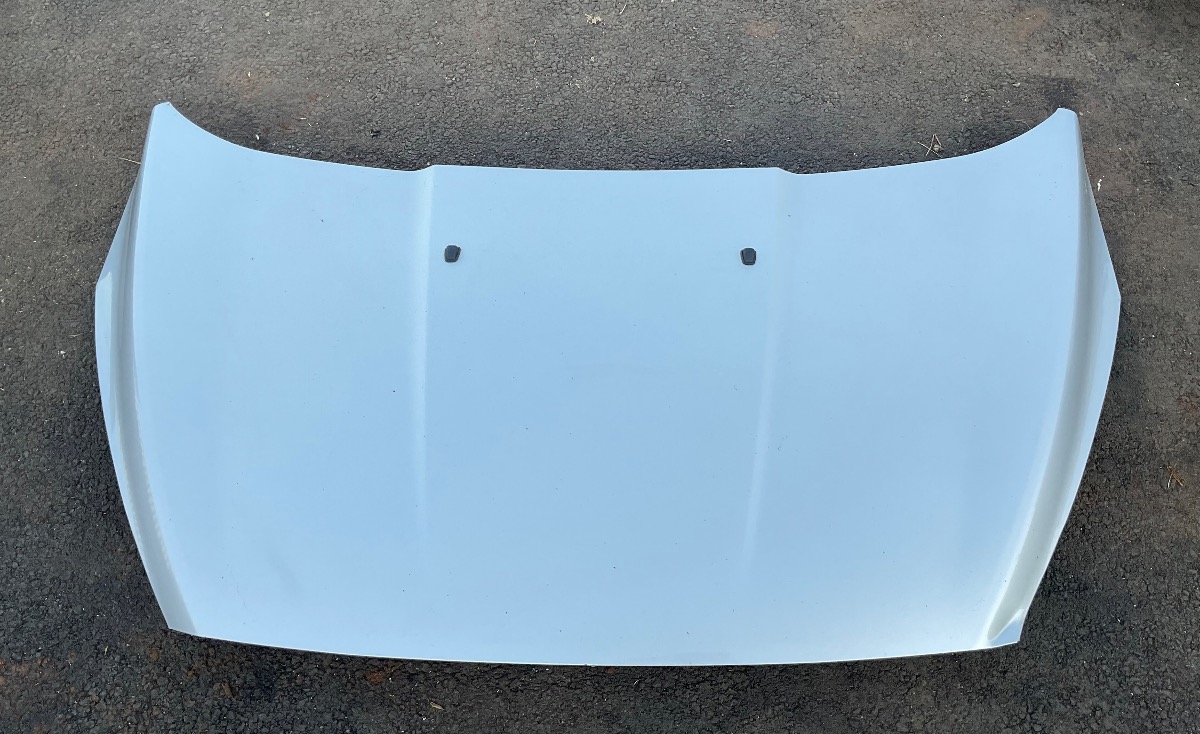 FIGO BONNET DAMAGED