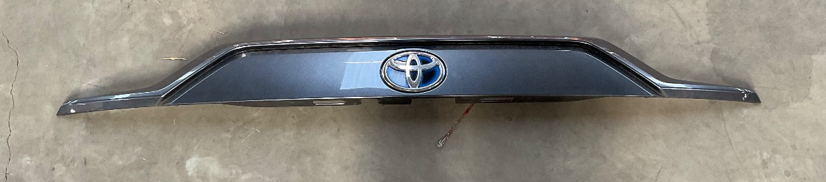 RAV 4 TAILGATE TRIM