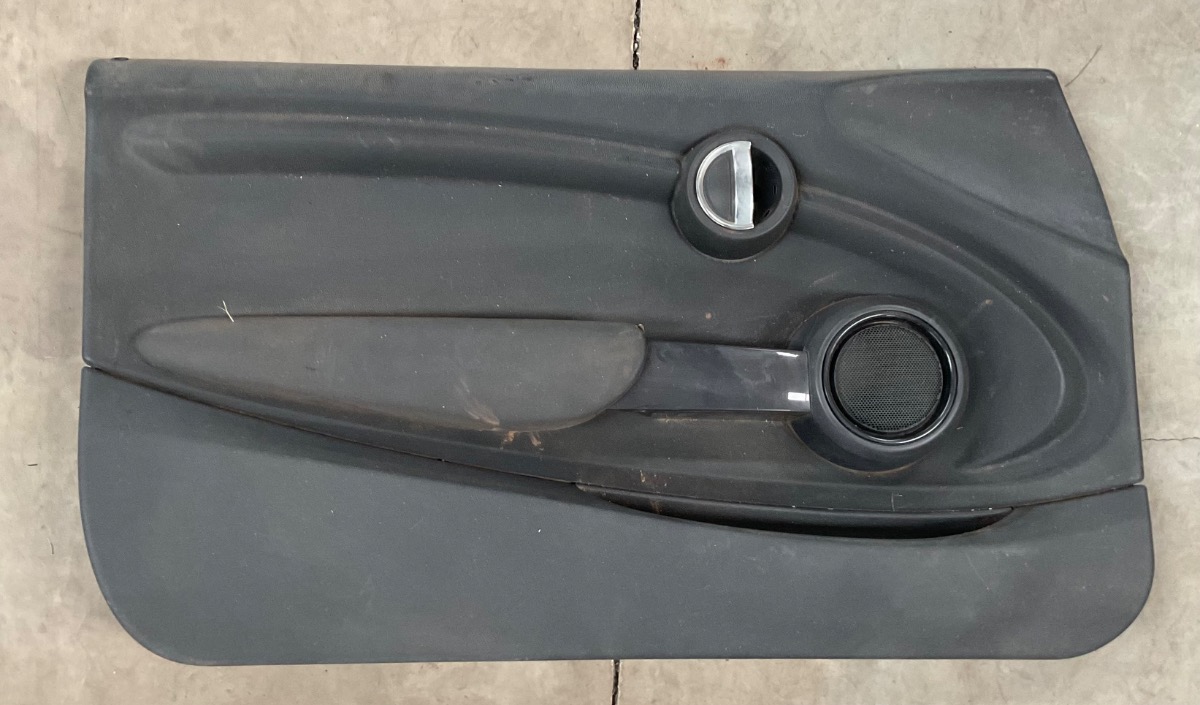 F56 LEFT FRONT DOOR PANEL