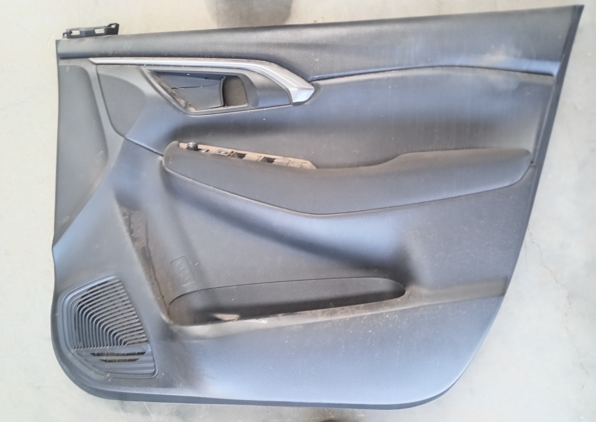 URBAN CRUISER RIGHT FRONT DOOR PANEL