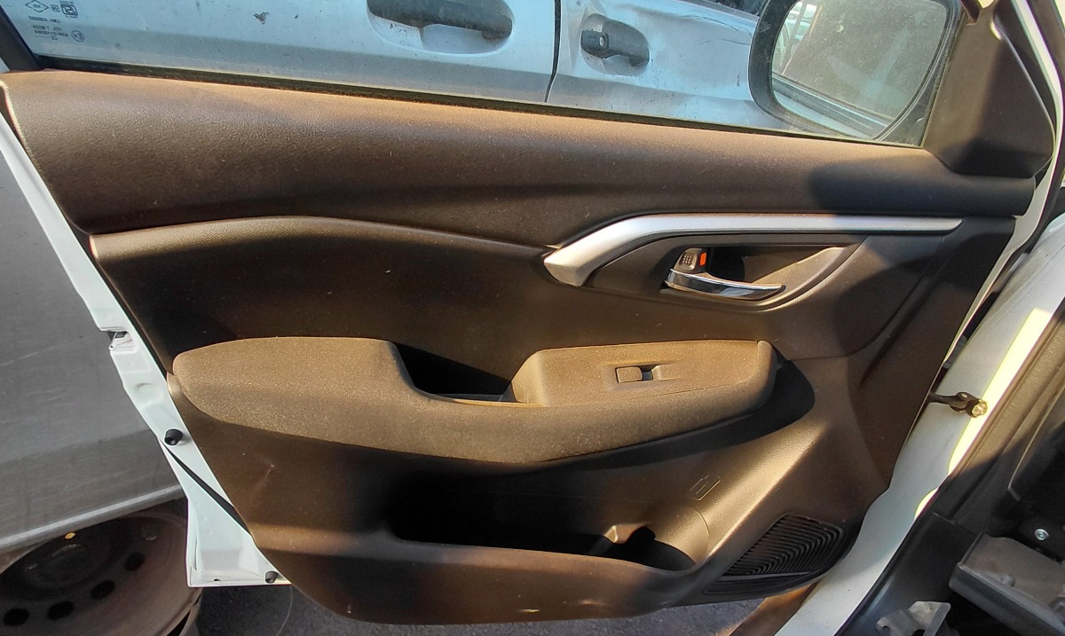 URBAN CRUISER LEFT FRONT DOOR PANEL