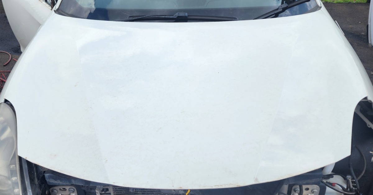 GIULIETTA BONNET