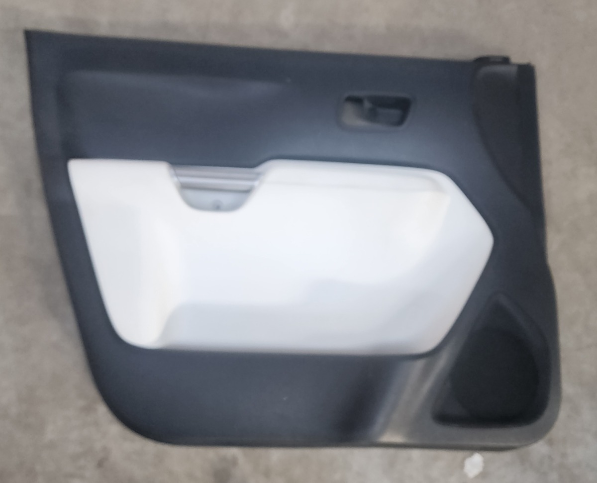 IGNIS LEFT FRONT DOOR PANEL
