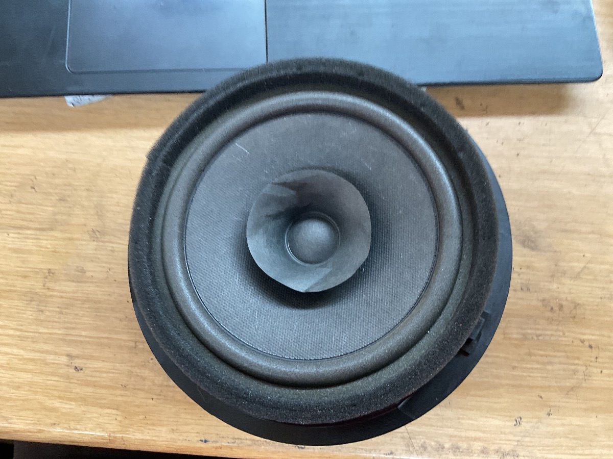 IGNIS FRONT DOOR SPEAKER
