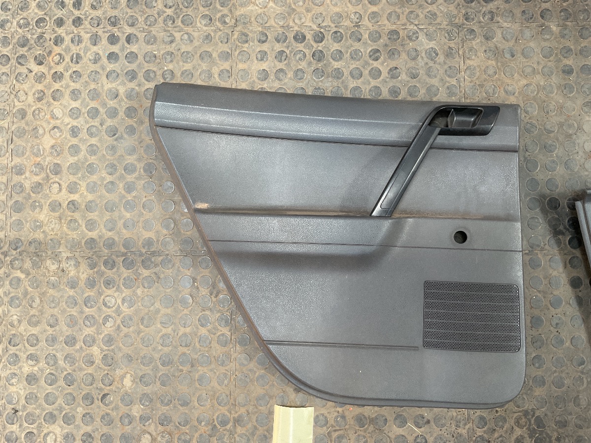 VIVO REAR LEFT DOOR PANEL