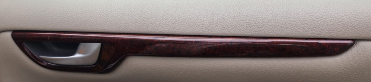 S60 RIGHT REAR DOOR TRIM