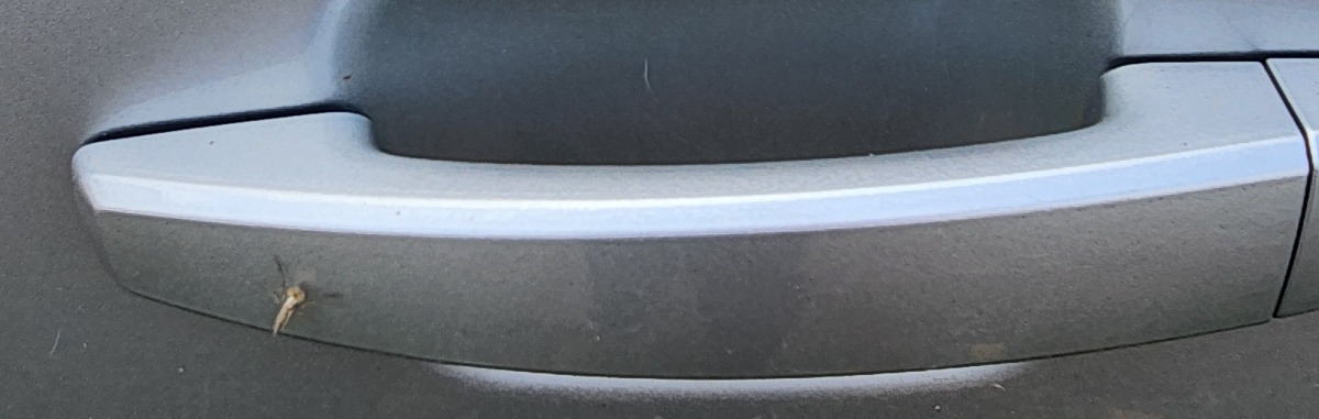 ORLANDO LEFT FRONT DOOR HANDLE