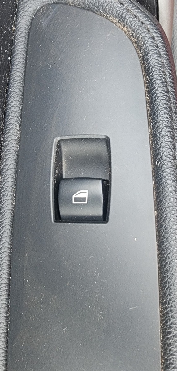 E81 LEFT DOOR SWITCH