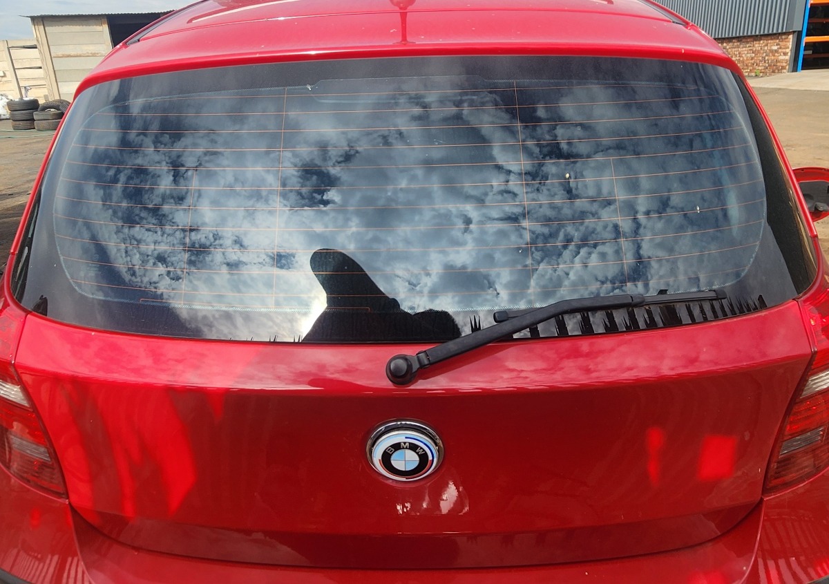 E81 TAILGATE (SHELL)