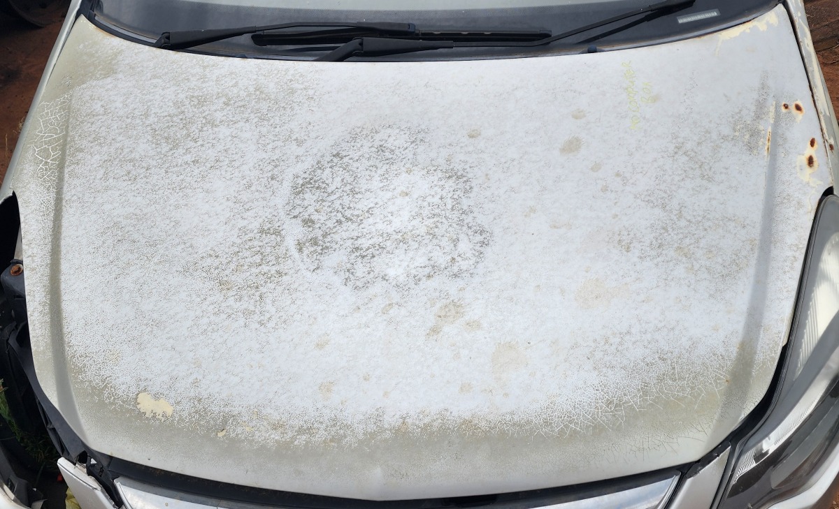 Corsa D Bonnet