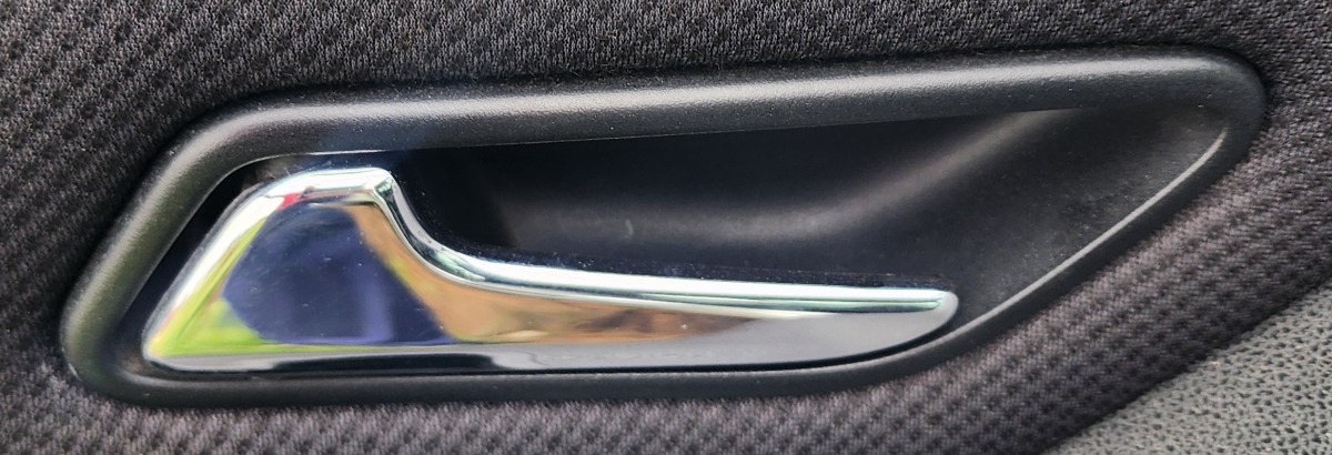 W169 LEFT INNER HANDLE FRONT