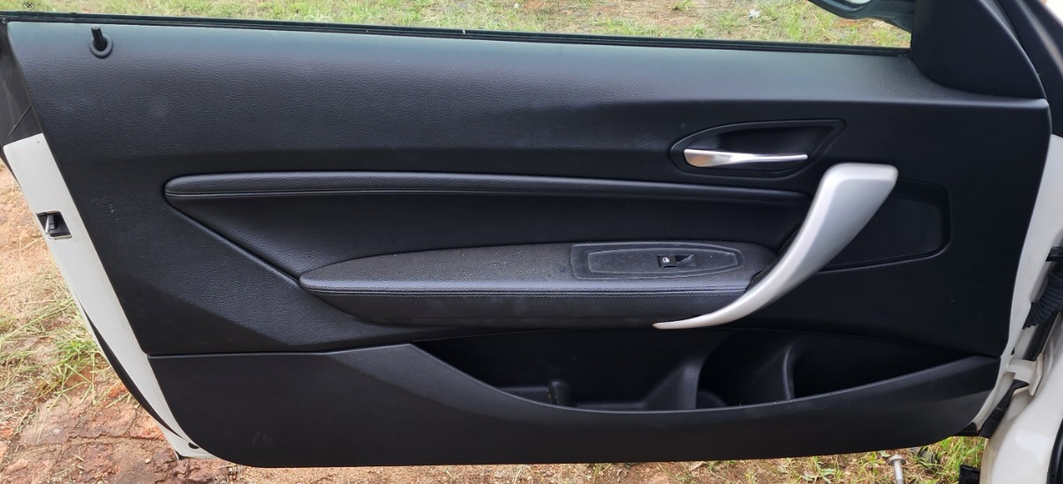 F22 LEFT DOOR PANEL