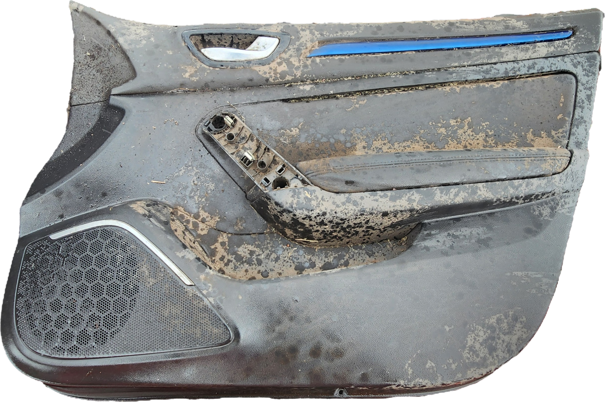 MEGANE 4 RIGHT FRONT DOOR PANEL