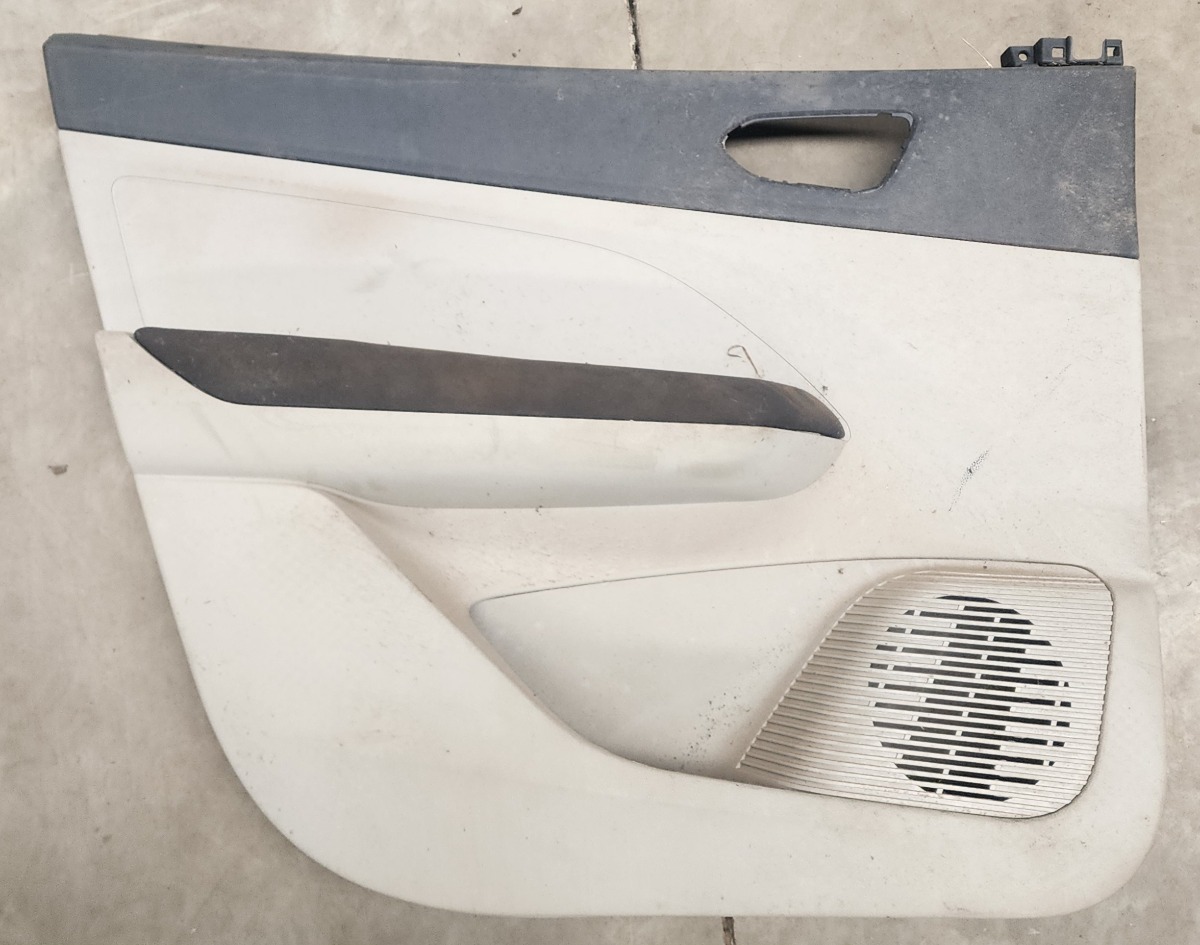 TRIBER LEFT FRONT DOOR PANEL