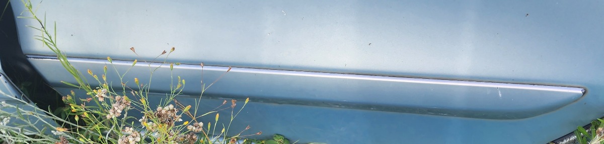 FR-V LEFT REAR DOOR BEADING
