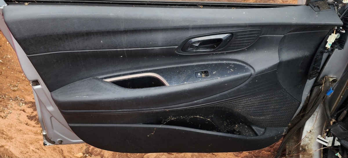 I20 LEFT FRONT DOOR PANEL