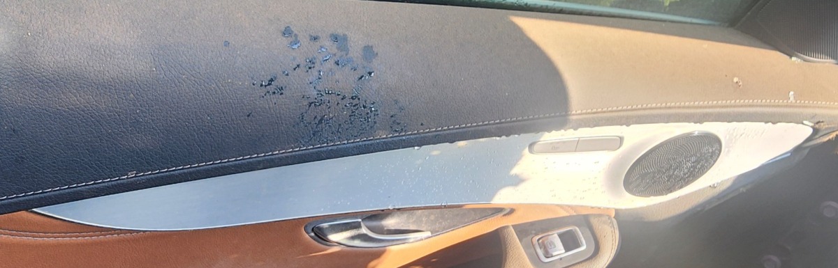 W253 LEFT DOOR PANEL TRIM