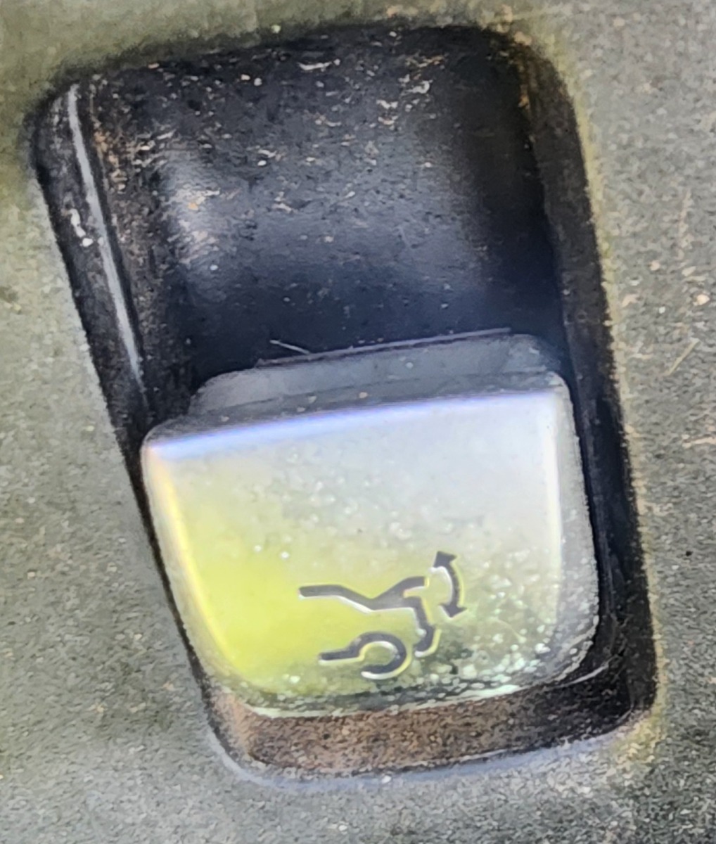 W253 TAILGATE OPEN SWITCH