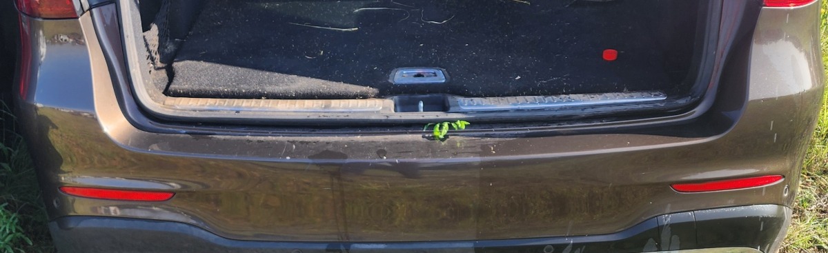W253 REAR BUMPER SKIN