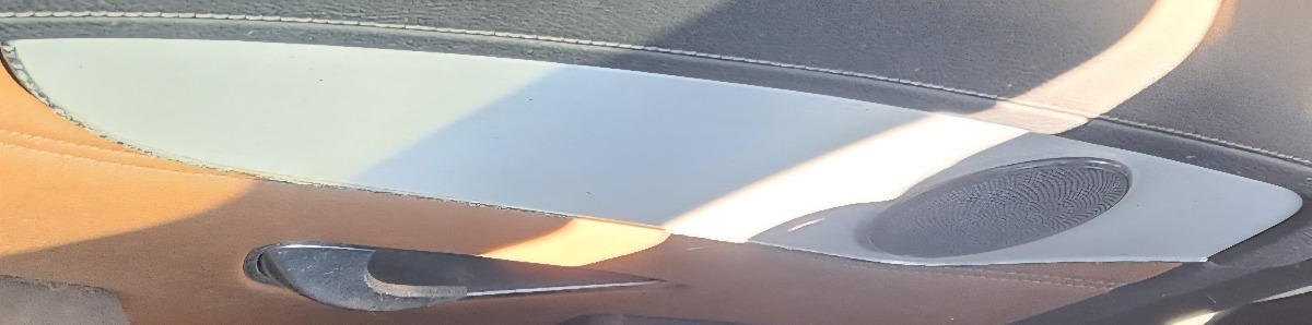 W253 LEFT REAR DOOR PANEL TRIM