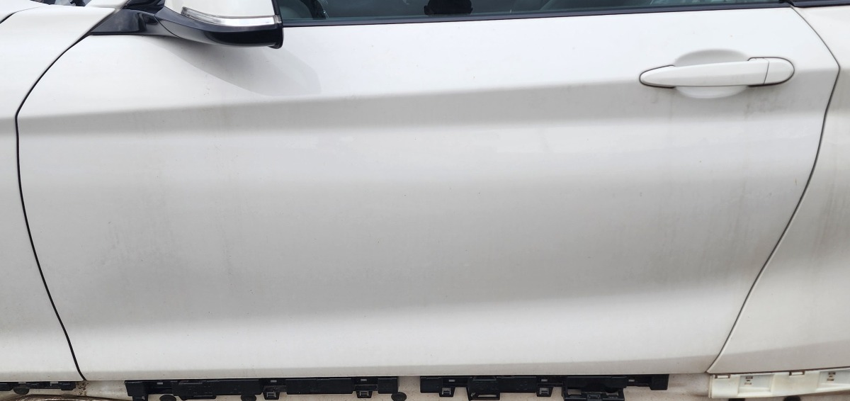 F22 LEFT DOOR (SHELL)