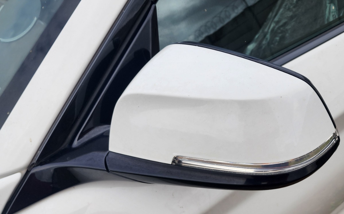 F22 LEFT DOOR MIRROR