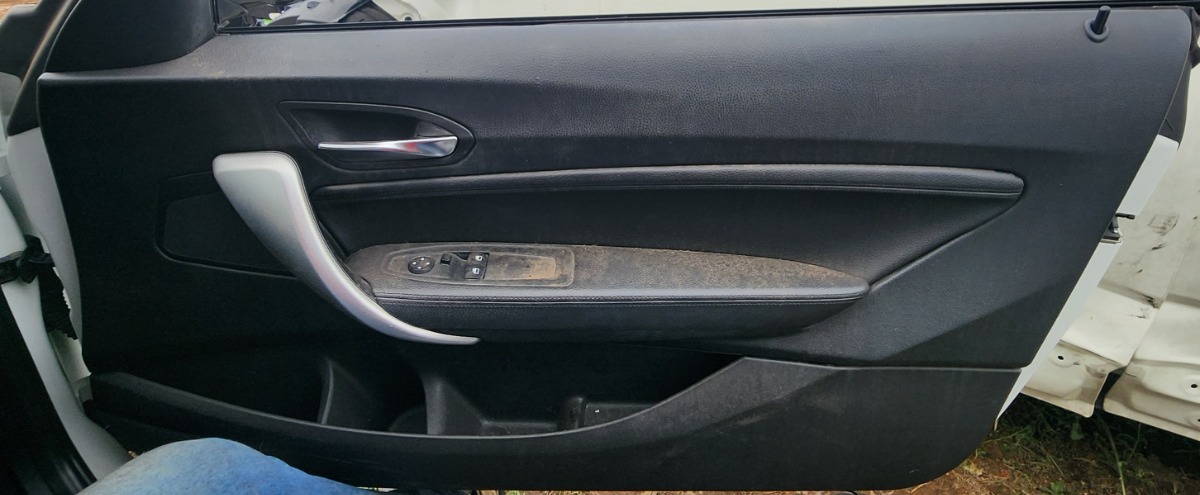 F22 RIGHT DOOR PANEL