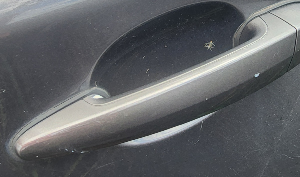 E87 LEFT REAR HANDLE