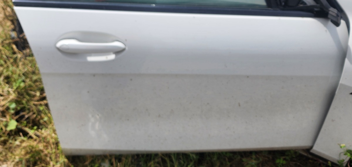 F44 RIGHT FRONT DOOR (SHELL)