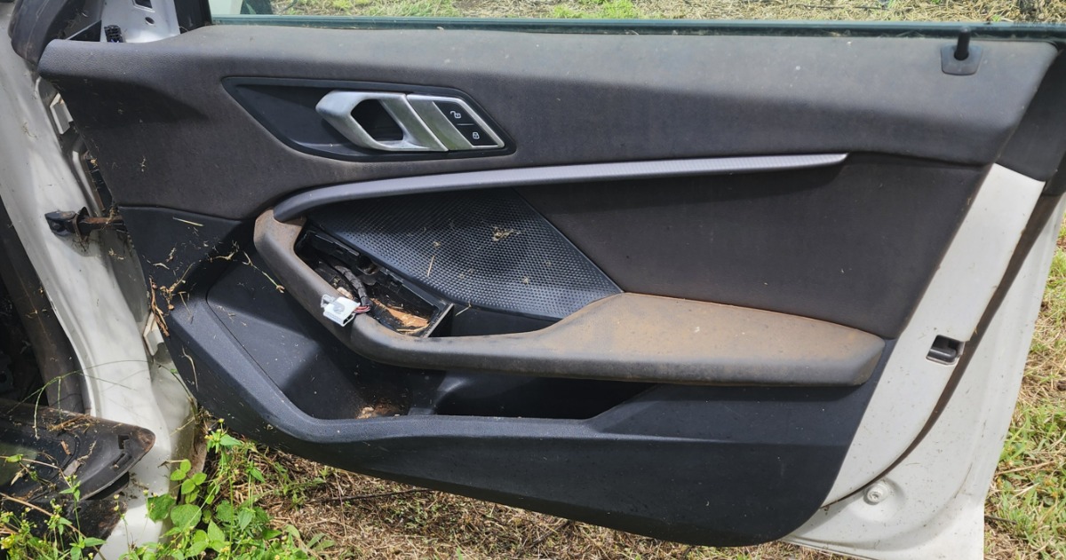 F44 RIGHT FRONT DOOR PANEL