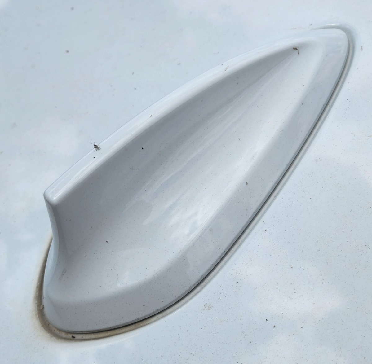 F44 ANTENNA
