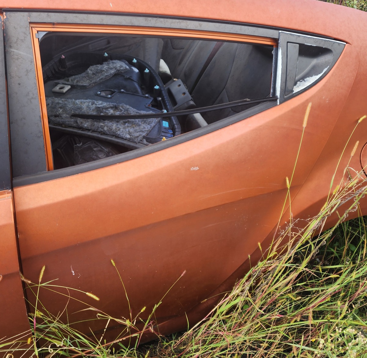 VELOSTER LEFT REAR DOOR (SHELL)