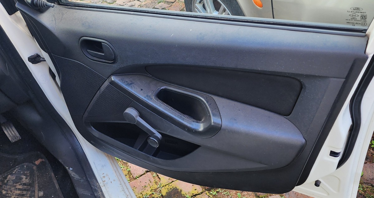 FIGO RIGHT FRONT DOOR PANEL