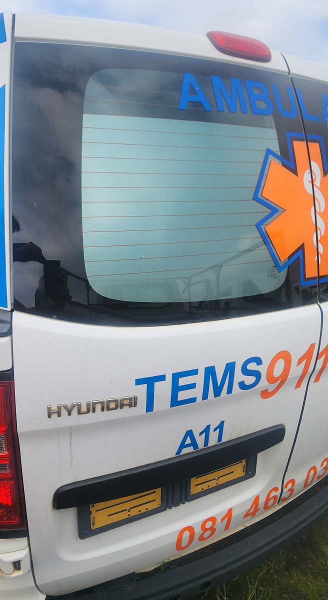 H1 LEFT SWING DOOR (SHELL)
