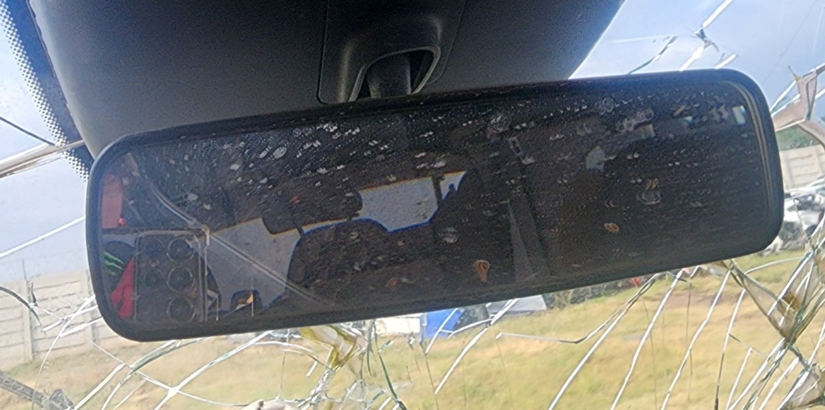 W447 INTERRIOR MIRROR