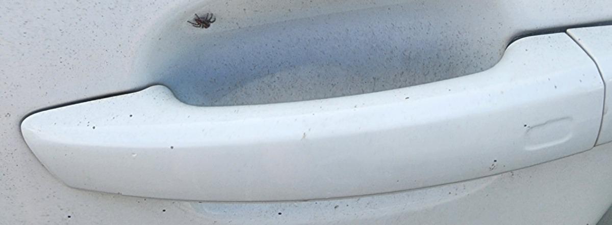 A3 LEFT FRONT DOOR HANDLE