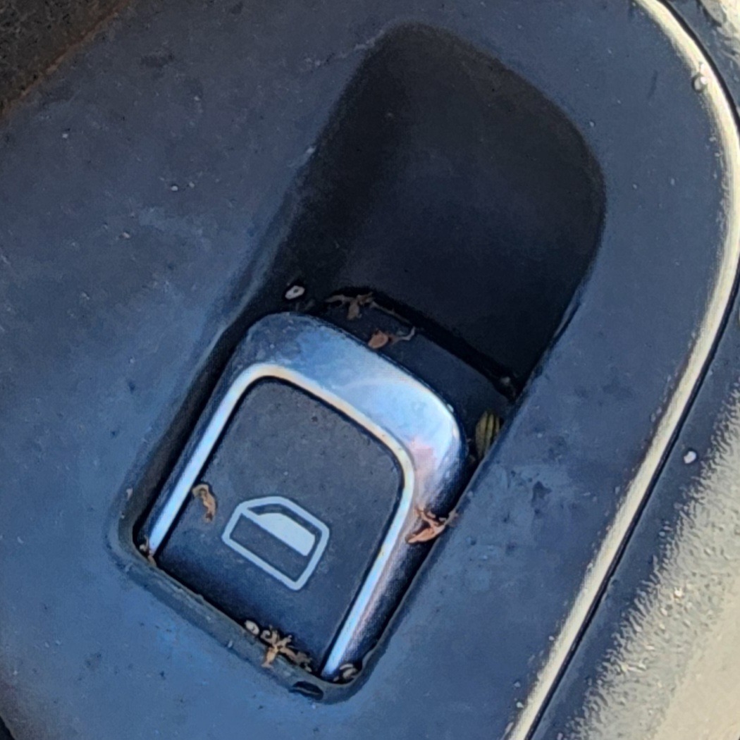 A4 B8 LEFT FRONT WINDOW SWITCH