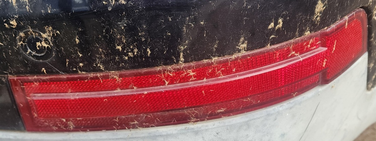 W164 RIGHT REAR REFLECTOR