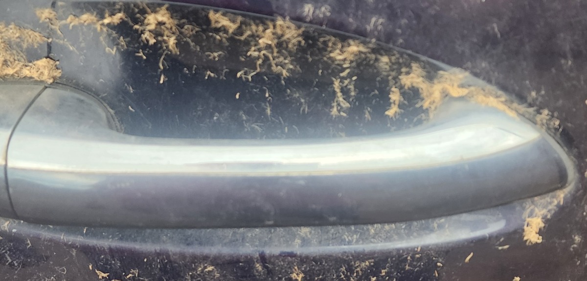 W164 RIGHT REAR HANDLE
