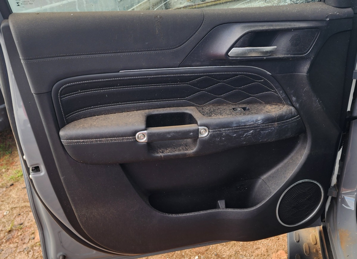 TANK 300 LEFT FRONT DOOR PANEL