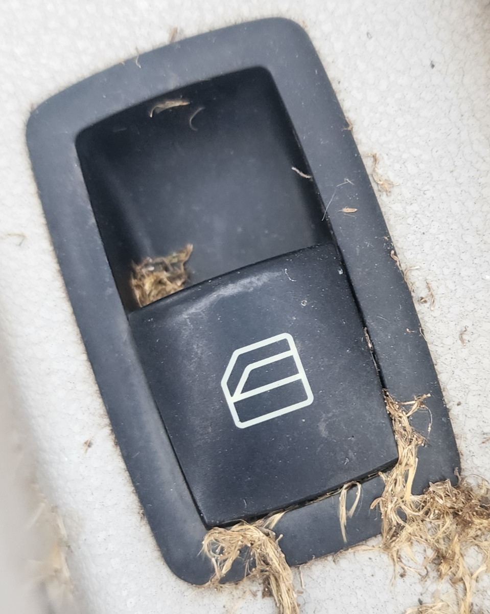W164 RIGHT REAR WINDOW SWITCH