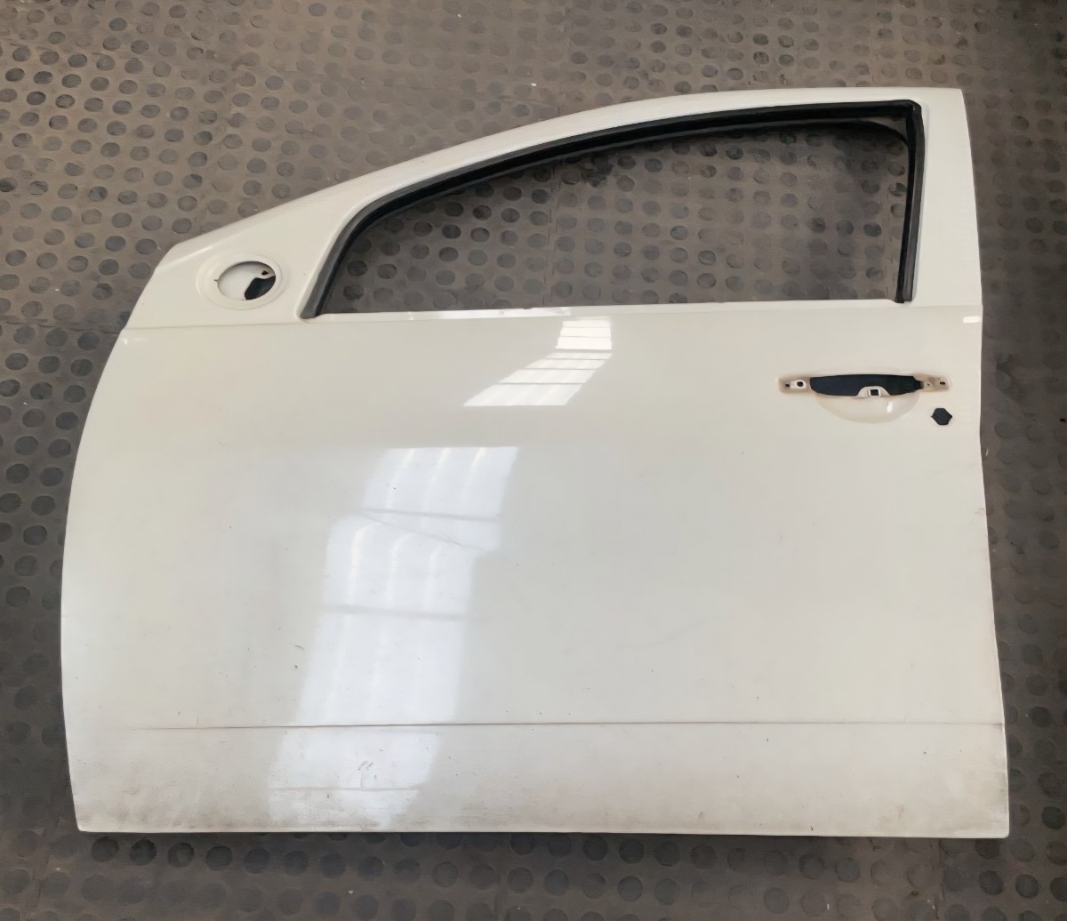 DUSTER LEFT FRONT DOOR (SHELL)