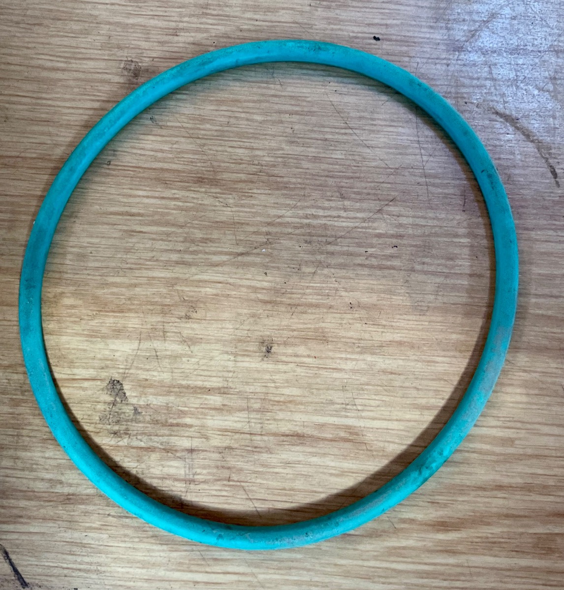 ORLANDO FUEL PUMP O RING SEAL