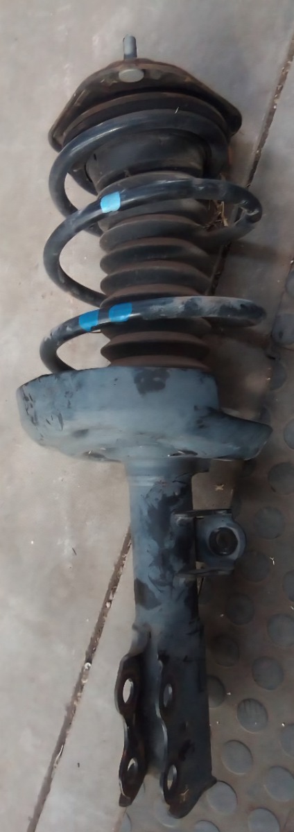 COROLLA RIGHT FRONT SHOCK STRUT