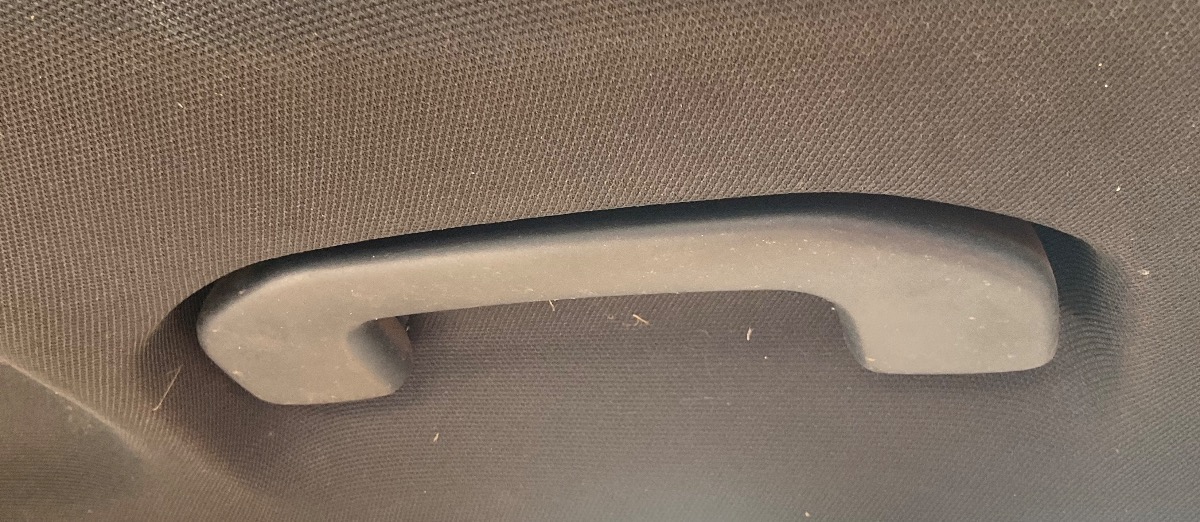 W253 DRIVERS GRAB HANDLE
