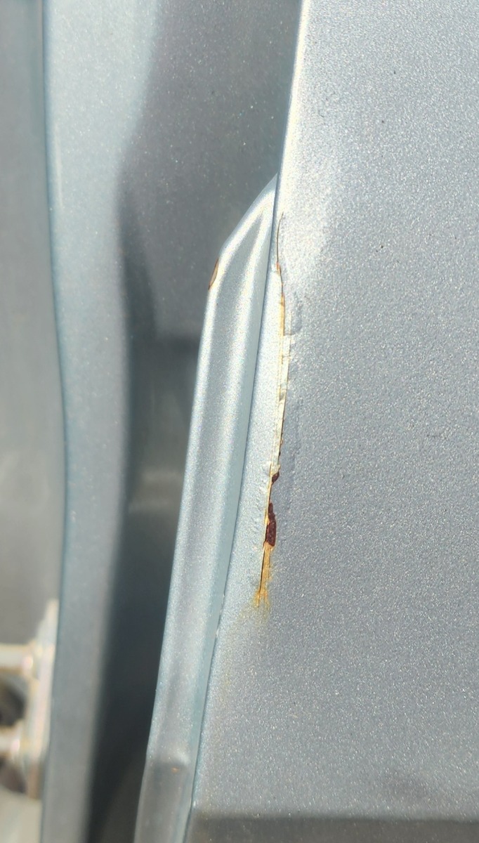 RUMION LEFT REAR DOOR (SHELL) READ DESCRIPTION